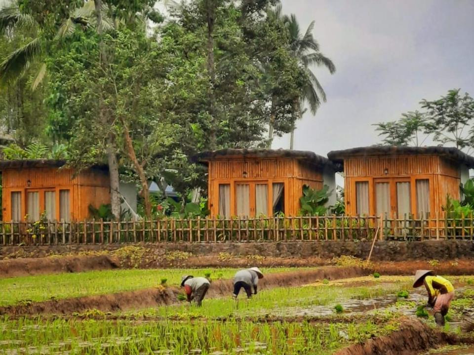 Отель Sawah Ijen Licin Экстерьер фото
