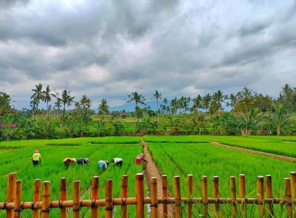 Отель Sawah Ijen Licin Экстерьер фото